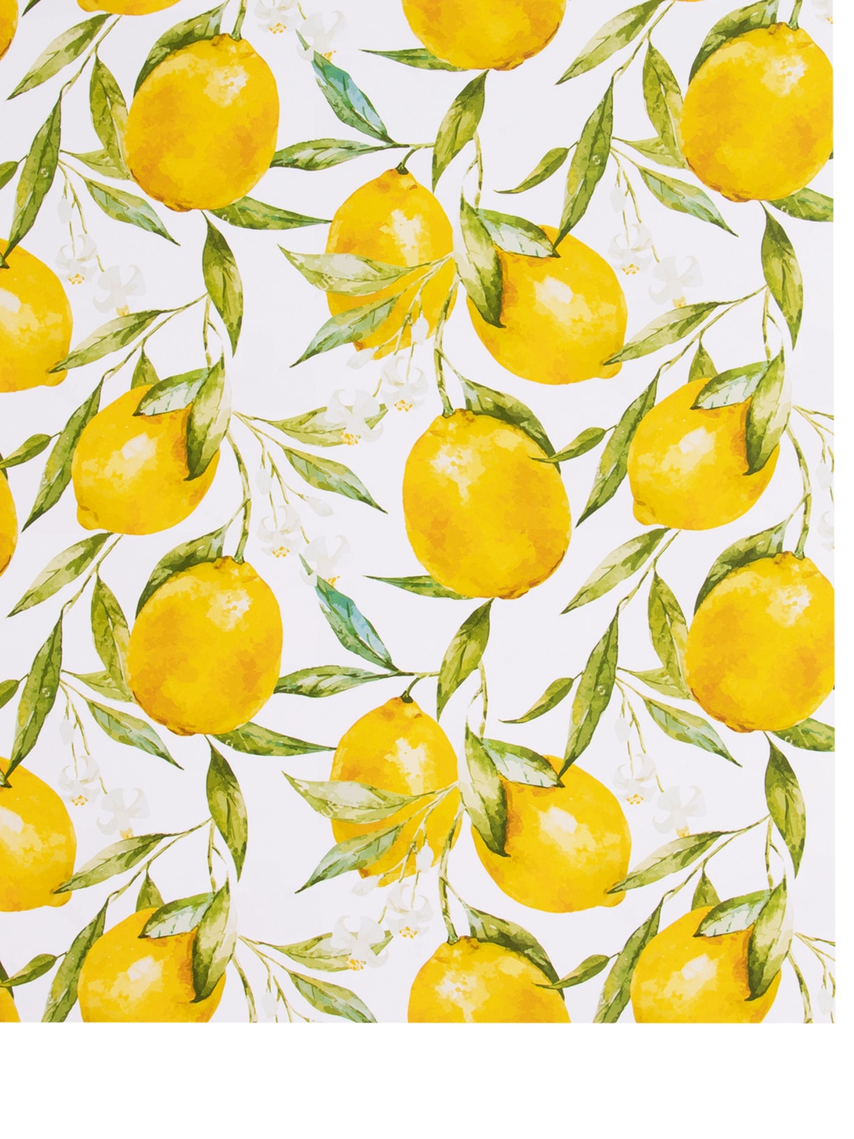 Kit 12 Jogos Americanos Limão Siciliano Amarelo Easy Home Design