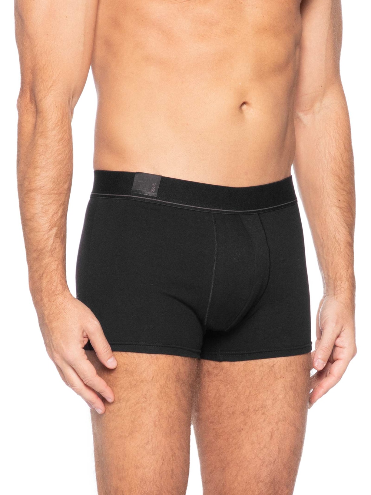 Kit 2 Cuecas Masculinas Trunk Fio 40 Preto Pineapple