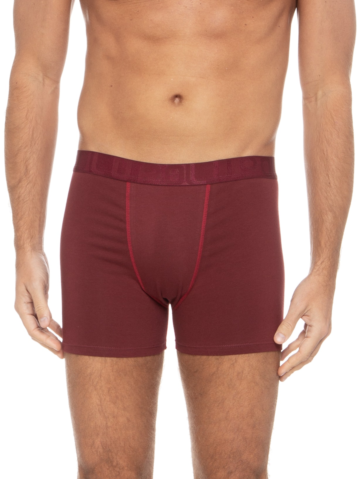 Kit De 2 Cuecas Am Boxer Vinho Lupo