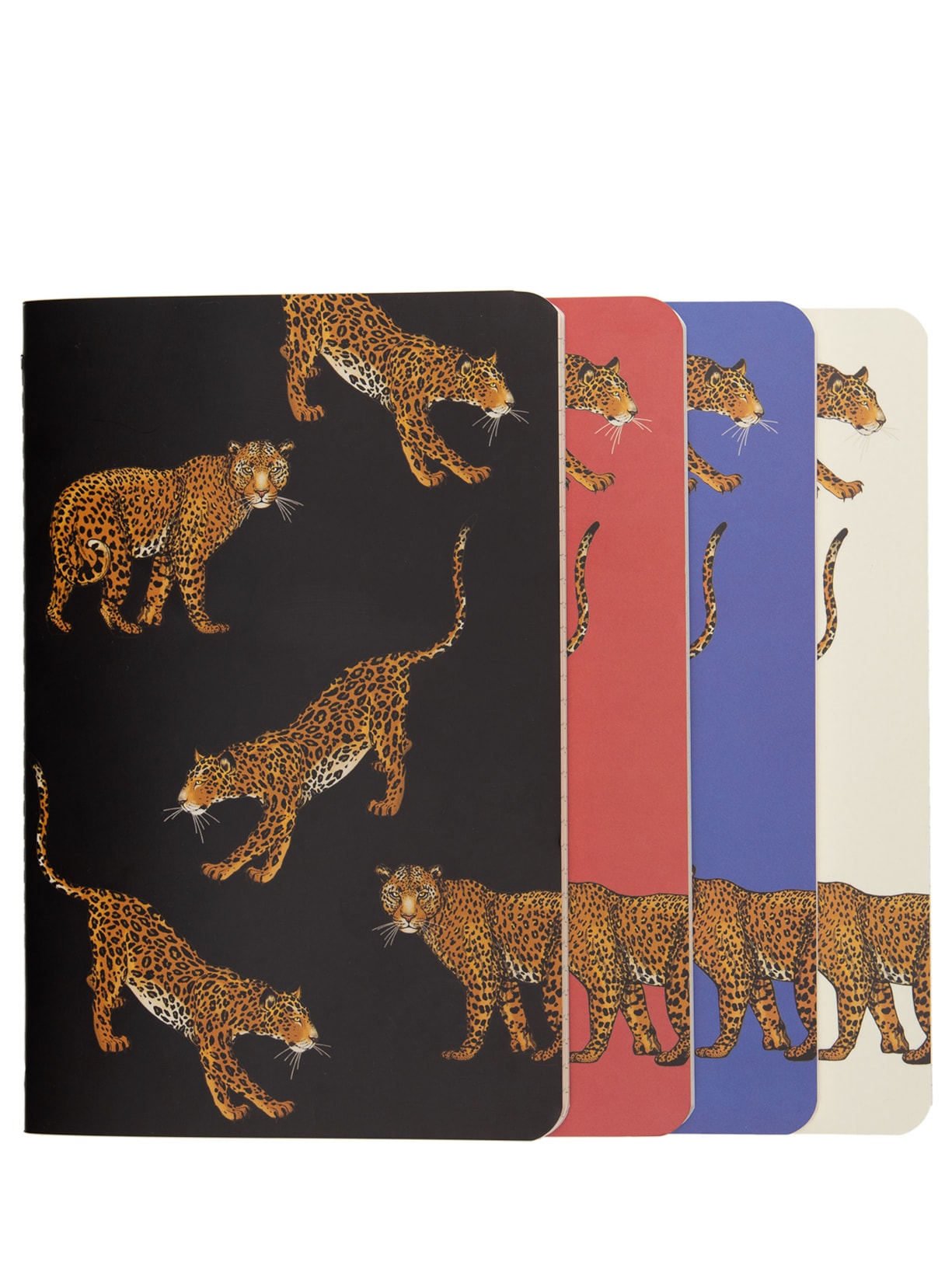 Kit De Cadernetas Notas Mix Onças Miolos Diferentes - Preto