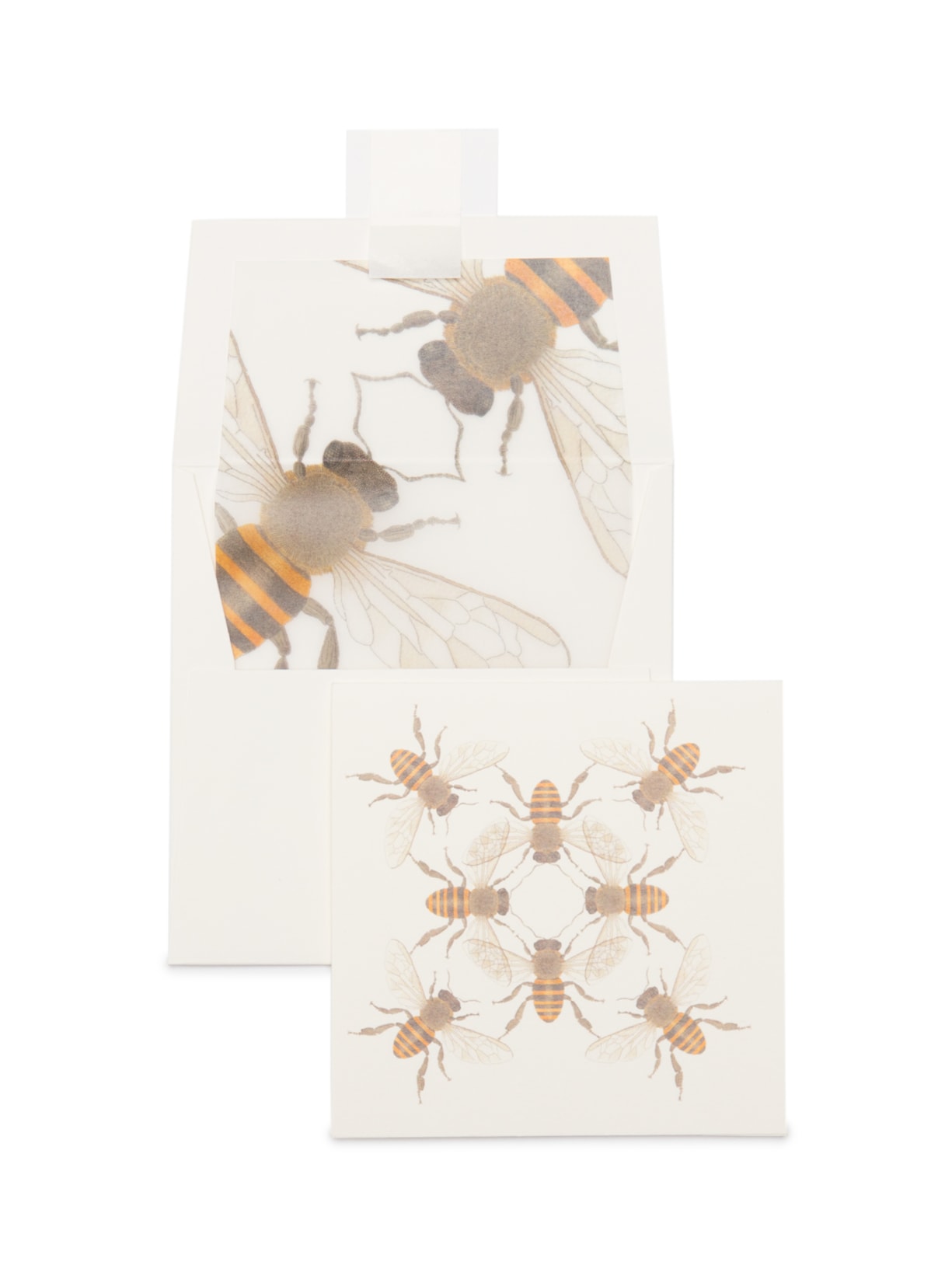 Kit De Cartões Coleção Insetos Abelha 6 Unidades - Branco