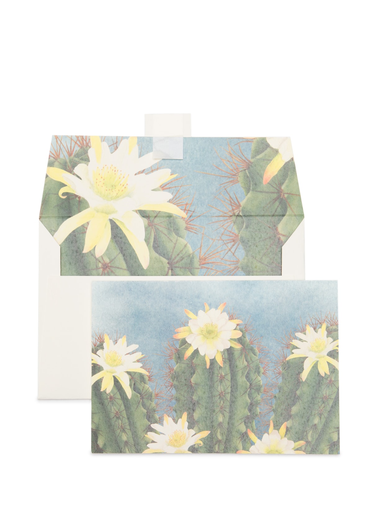 Kit De Cartões Mandacarú 6 Unidades - Azul