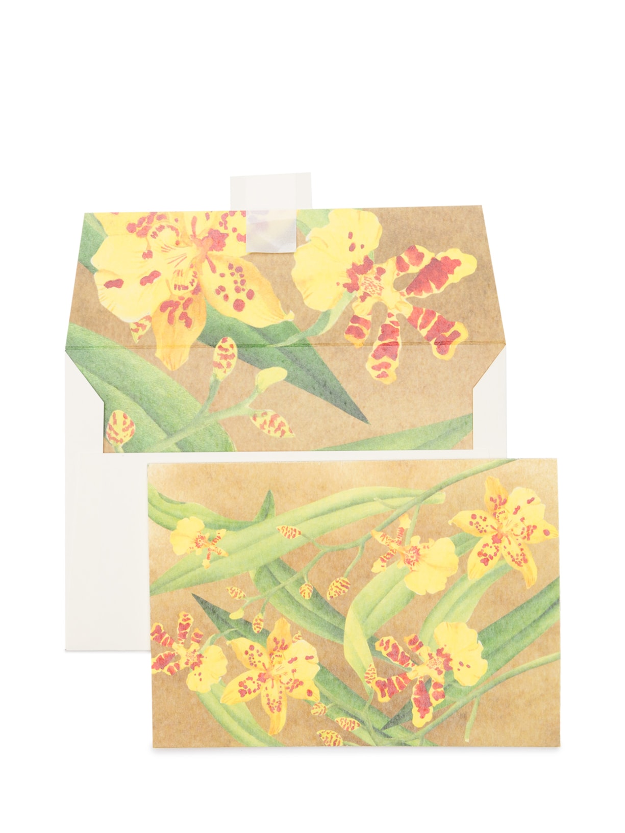 Kit De Cartões Oncidium 6 Unidades - Bege