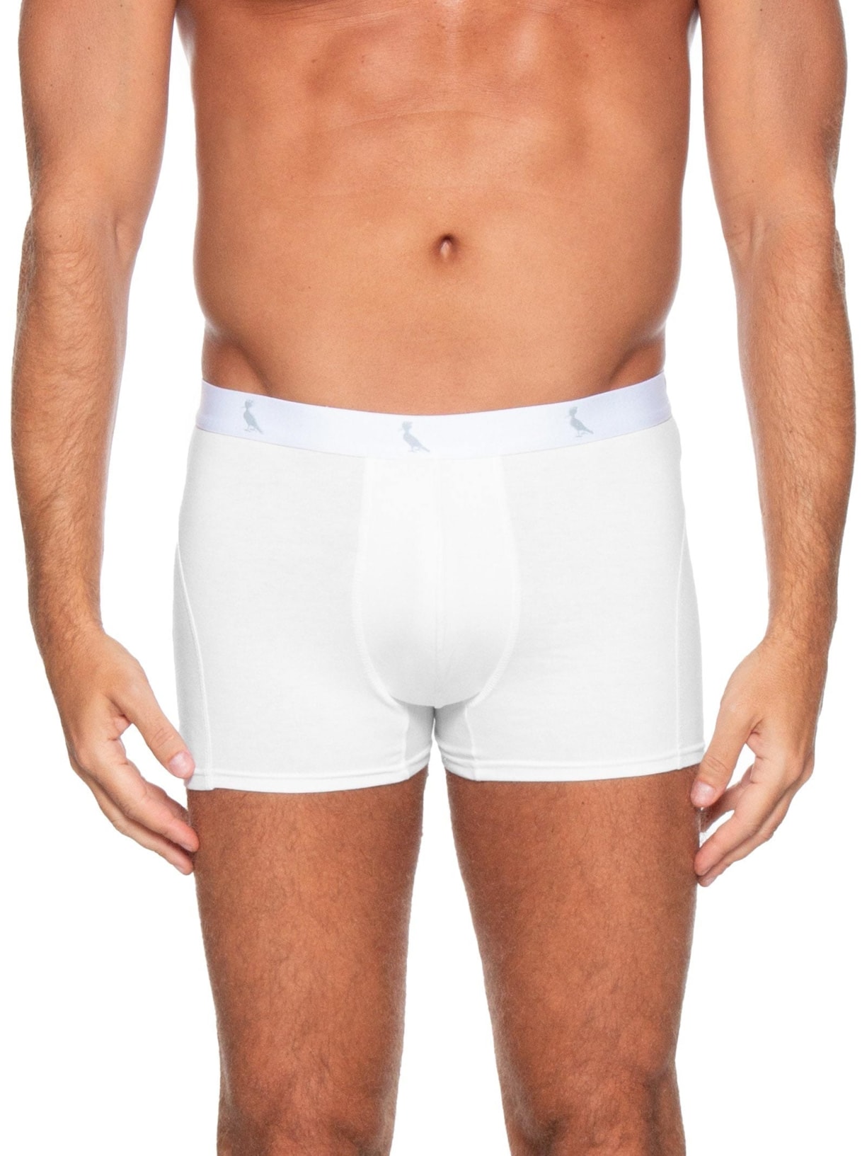 Kit De Cuecas Boxer Monocromático 3 Peças Branco Reserva