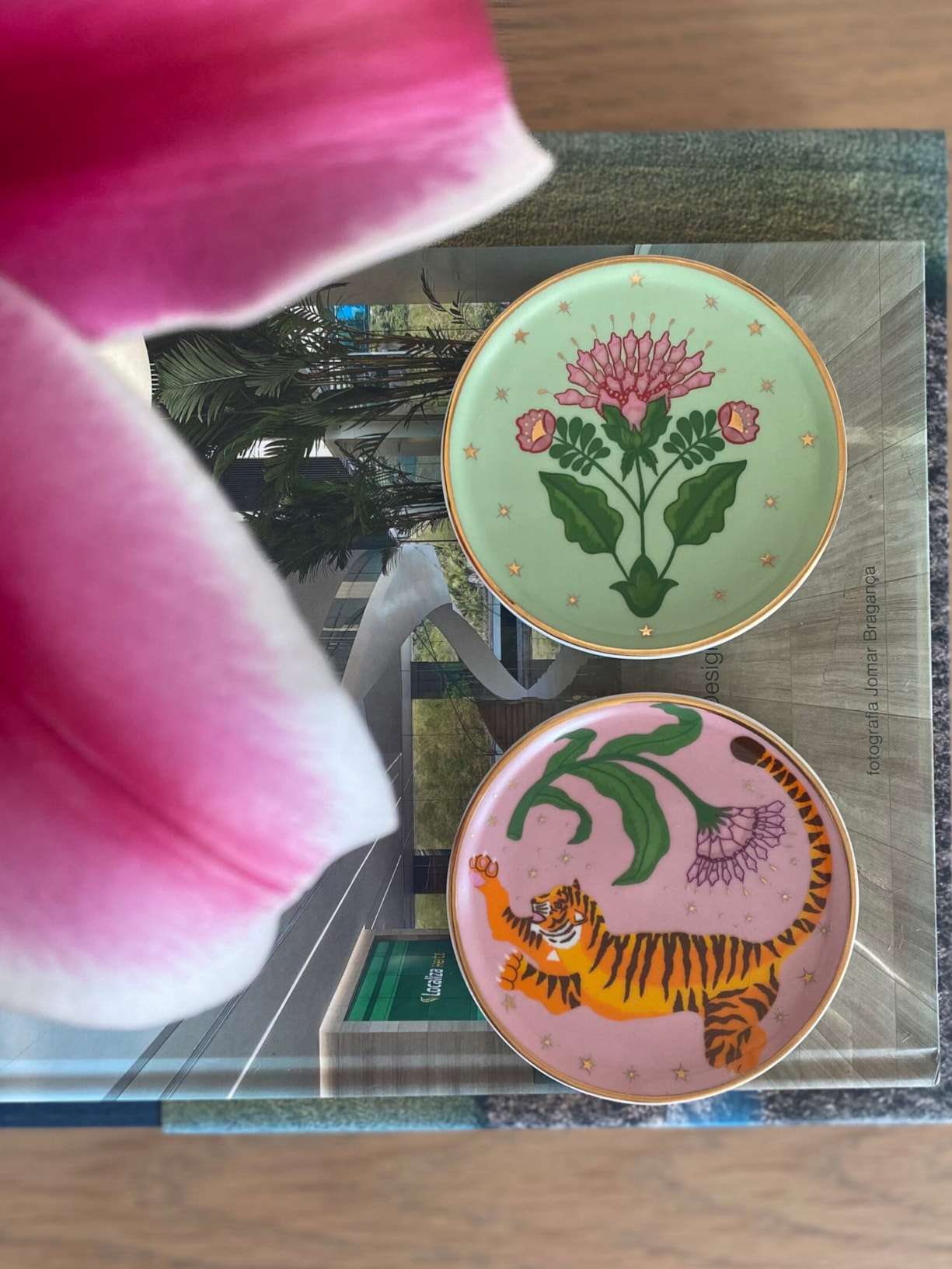 Kit Pratos Light Rosa Pingo!