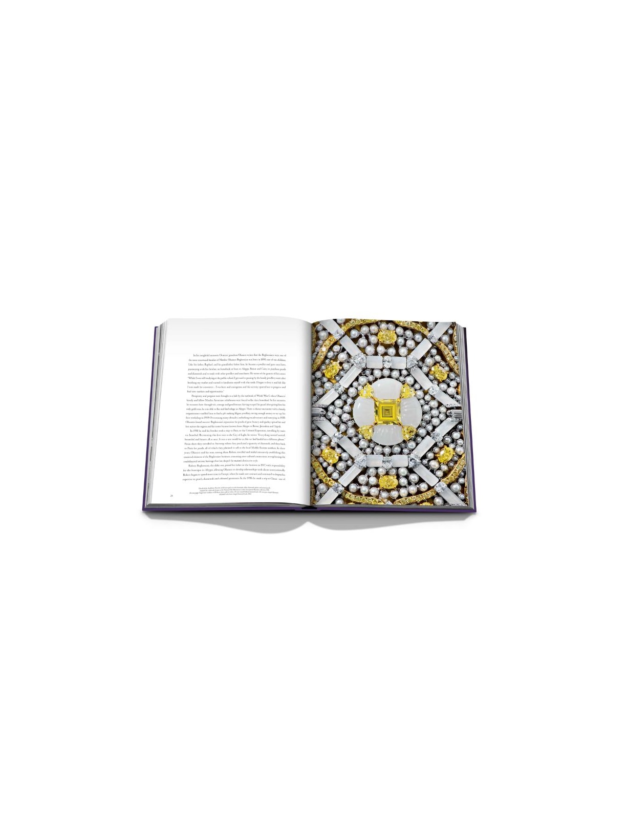 Livro Boghossian Expertise, Craftsmanship, Innovation Assouline