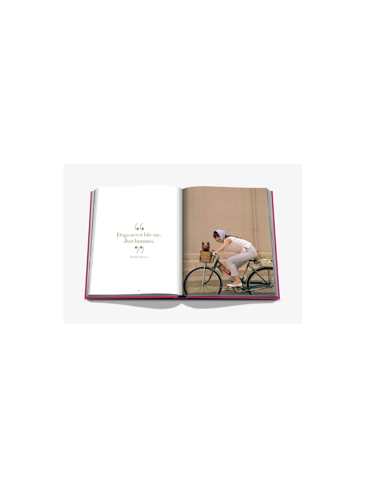 LIVRO CHIC DOGS_ROSA Assouline