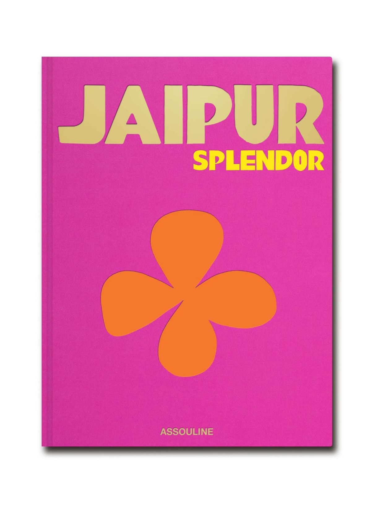 Livro Jaipur Splendor