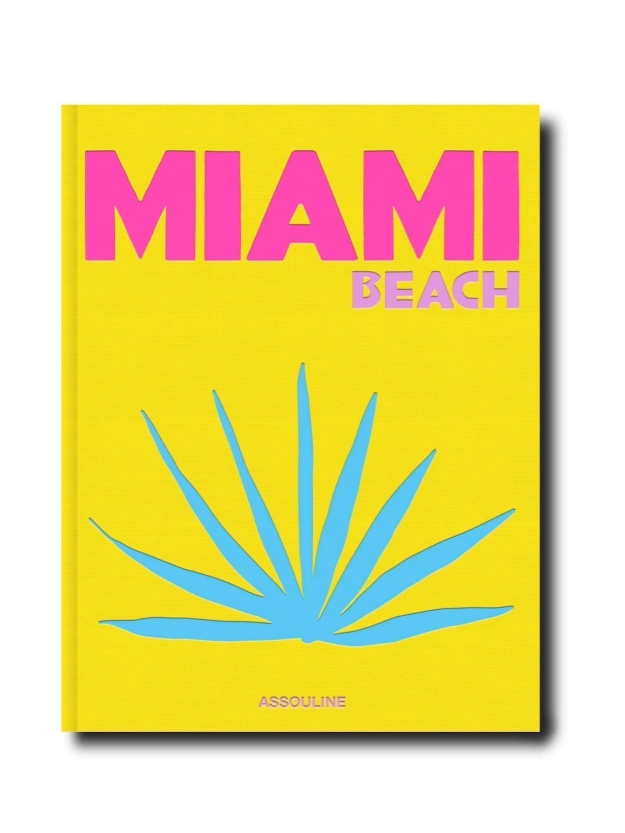 Livro Miami Beach
