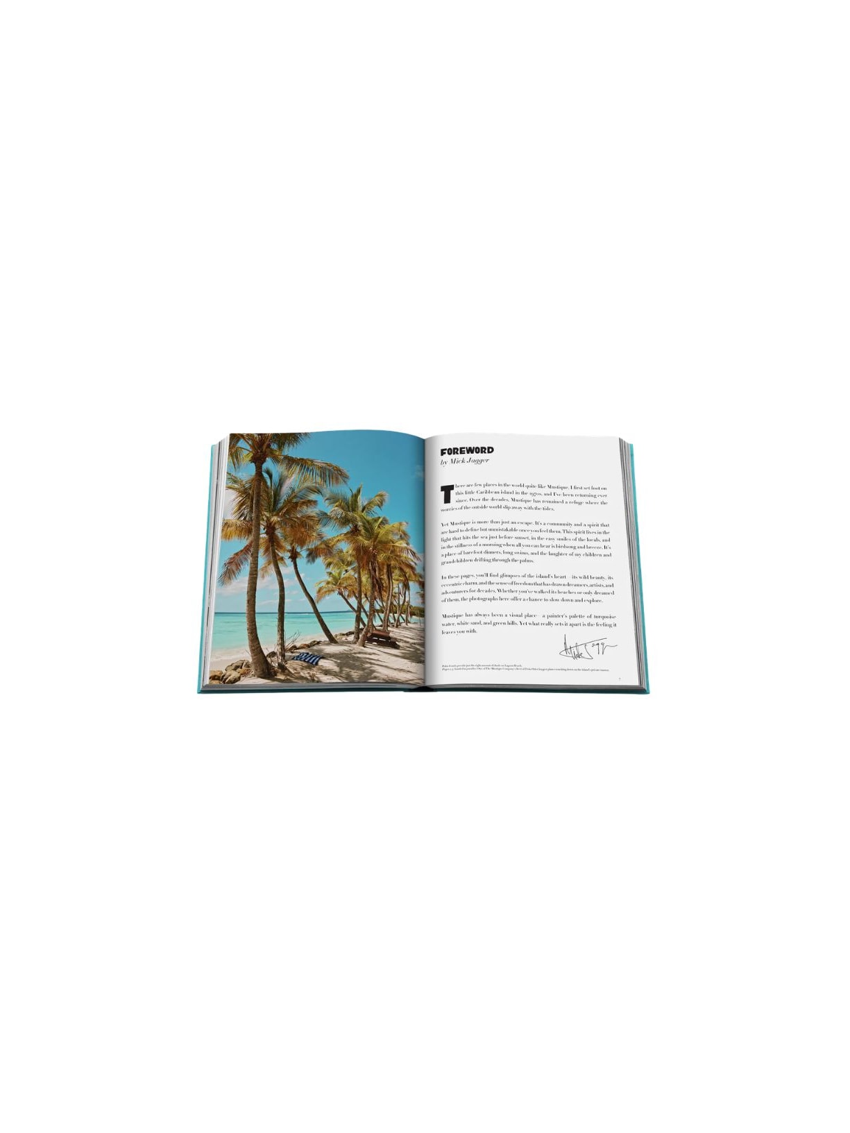 LIVRO MUSTIQUE ICON Assouline