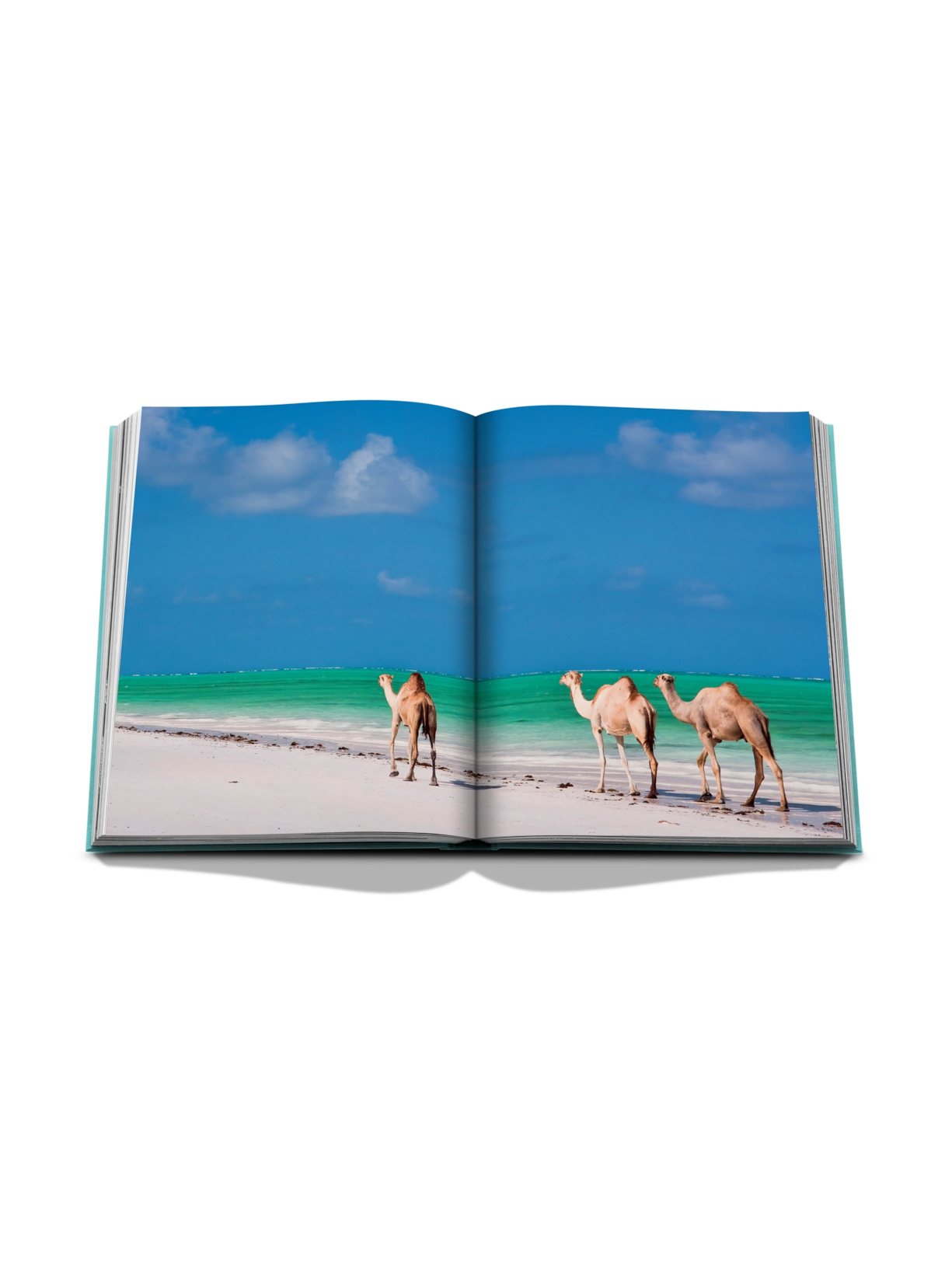Livro Red Sea The Saudi Coast Varios 1 Ed Assouline