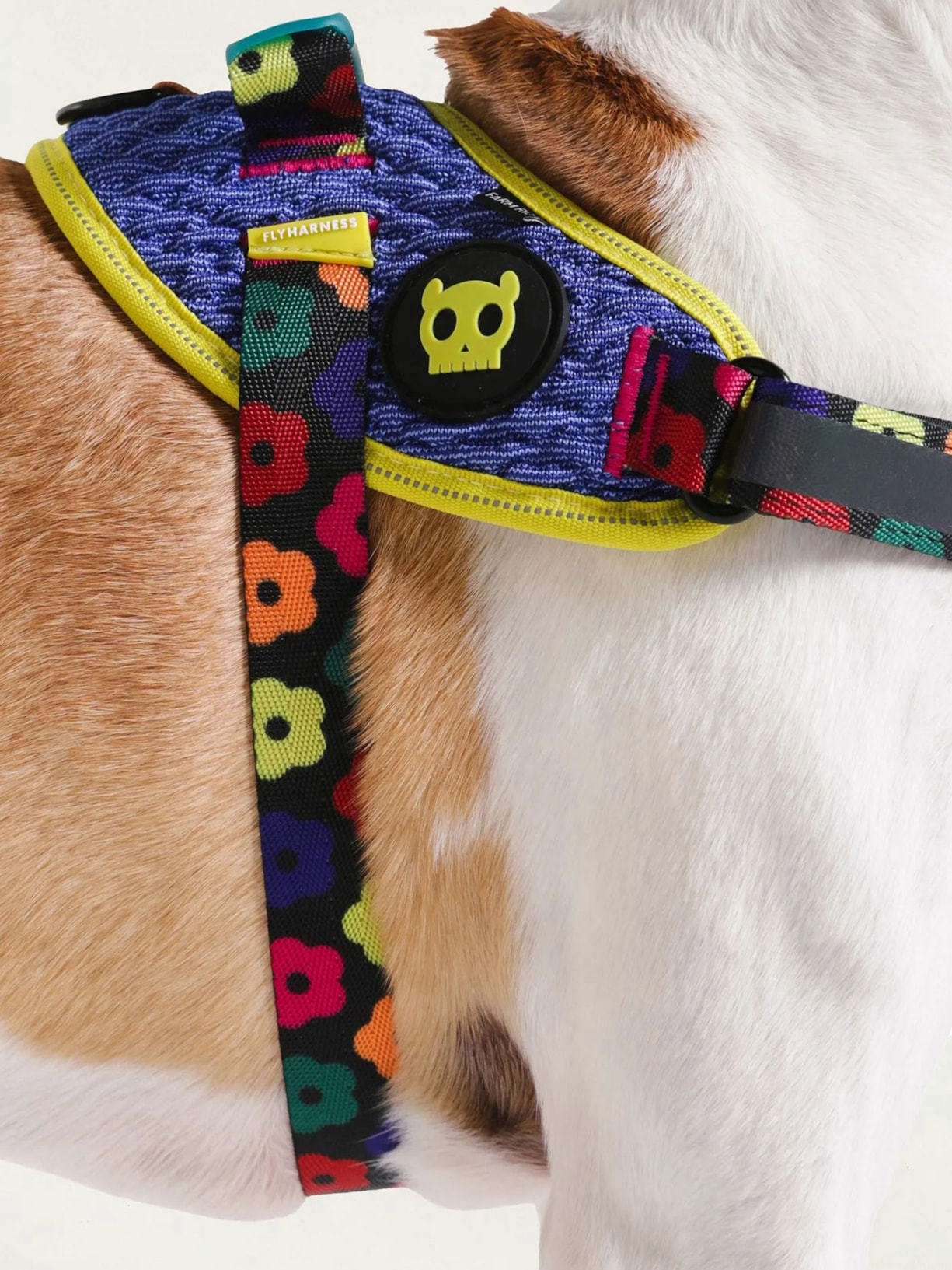 Peitoral Flyharness Mix Azul Farm Etc + Zeedog