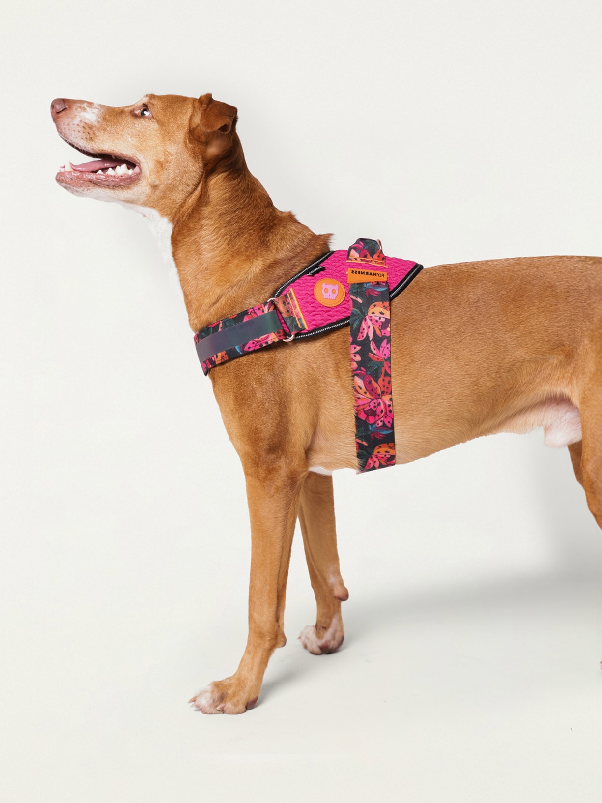 Peitoral Flyharness Onça Rosa Farm Etc + Zeedog