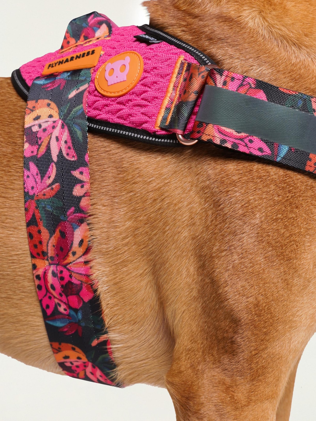 Peitoral Flyharness Onça Rosa Farm Etc + Zeedog