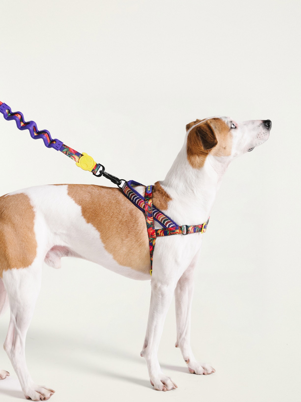 Peitoral Softwalk Mix Azul Farm Etc + Zeedog