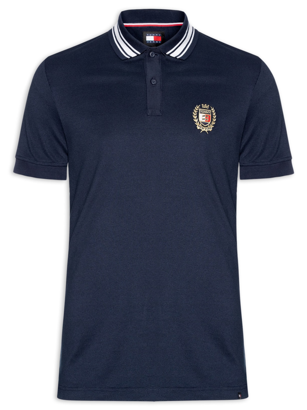 Polo Masculina Brasão Varsity Regular Fit - Azul