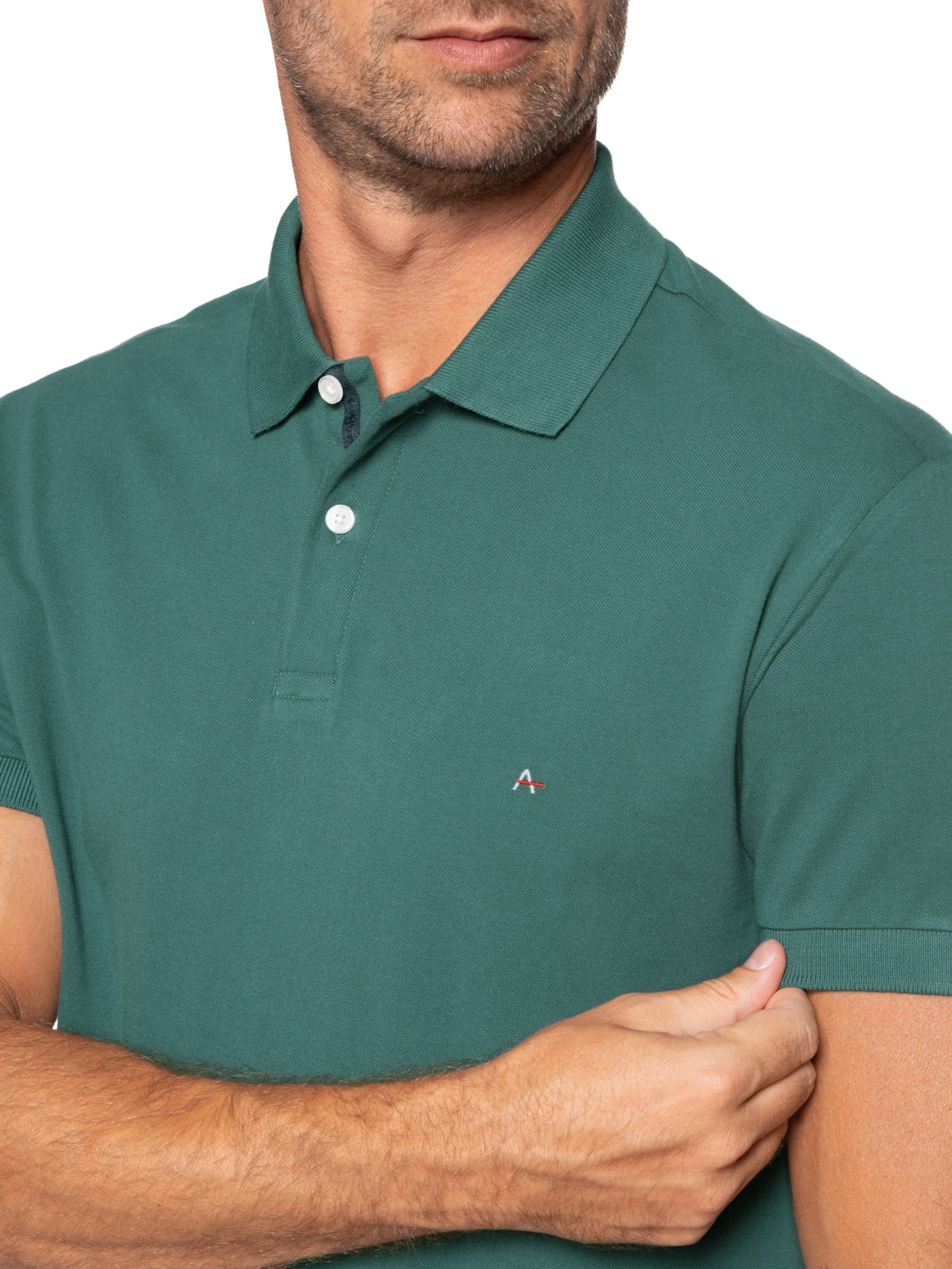 Polo Masculina Detalhe Interno Verde Aramis