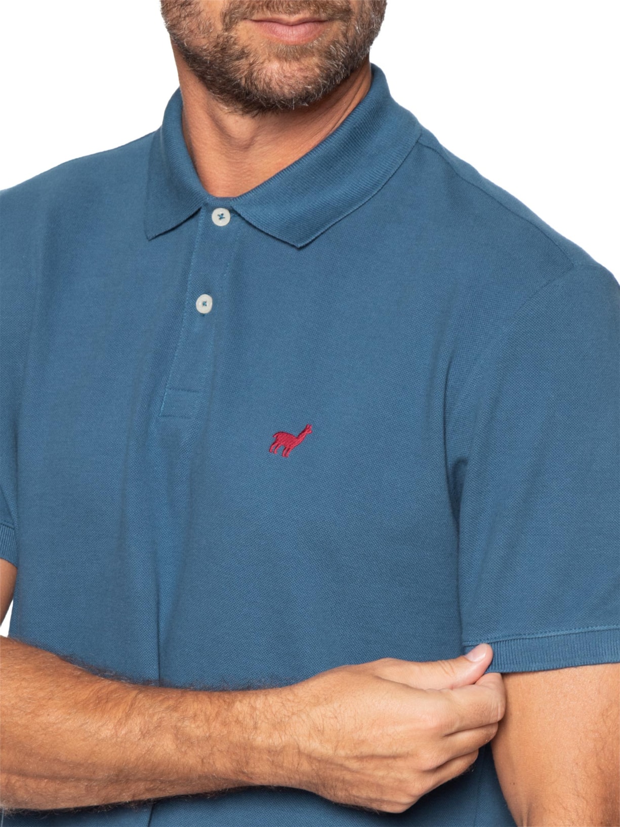 Polo Masculina Em Malha Piquet Azul Zapalla