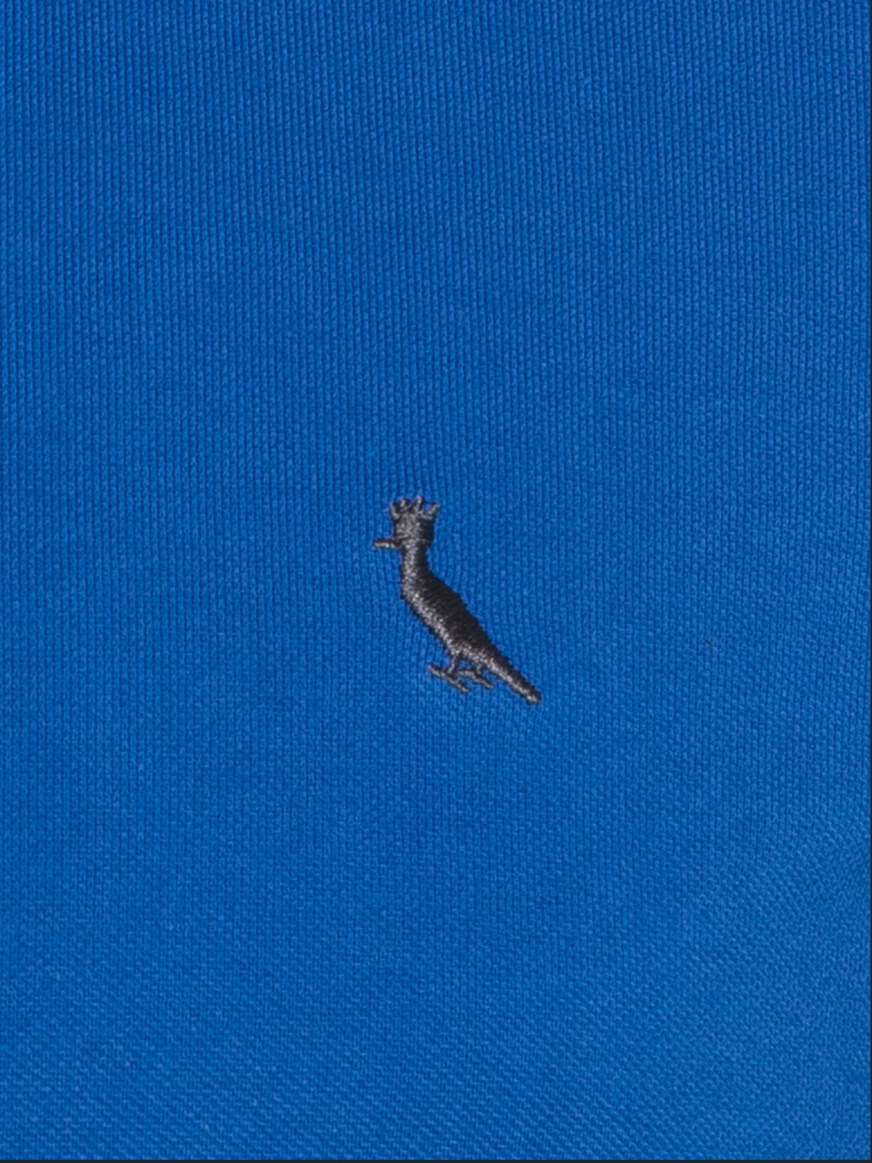 Polo Masculina Enxuto Novo Friso Azul  Reserva