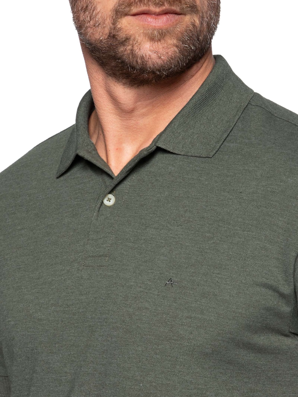 Polo Masculina Regular Fit Em Piquet Mescla Verde Aramis