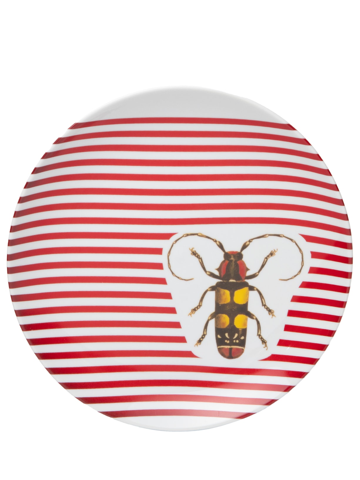 Prato Besouro Listra - Branco