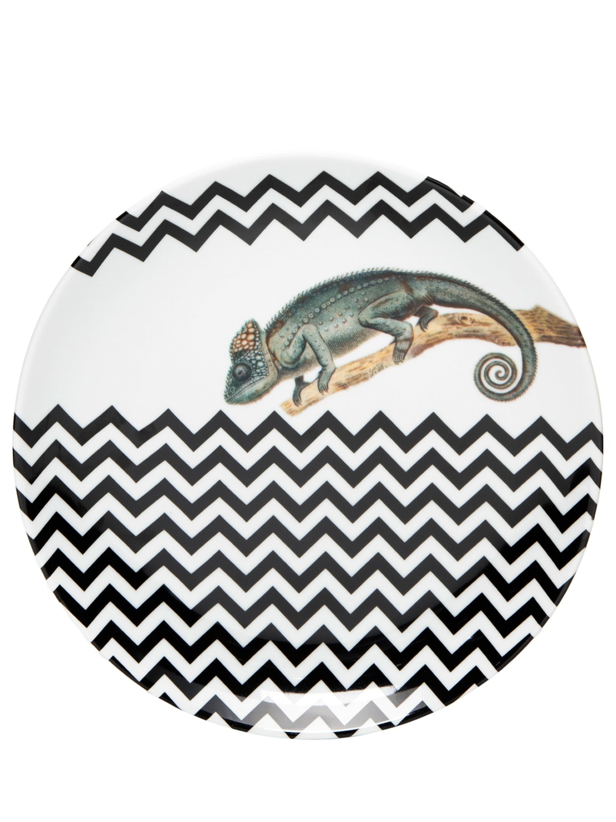 Prato Camaleão Listra - Branco