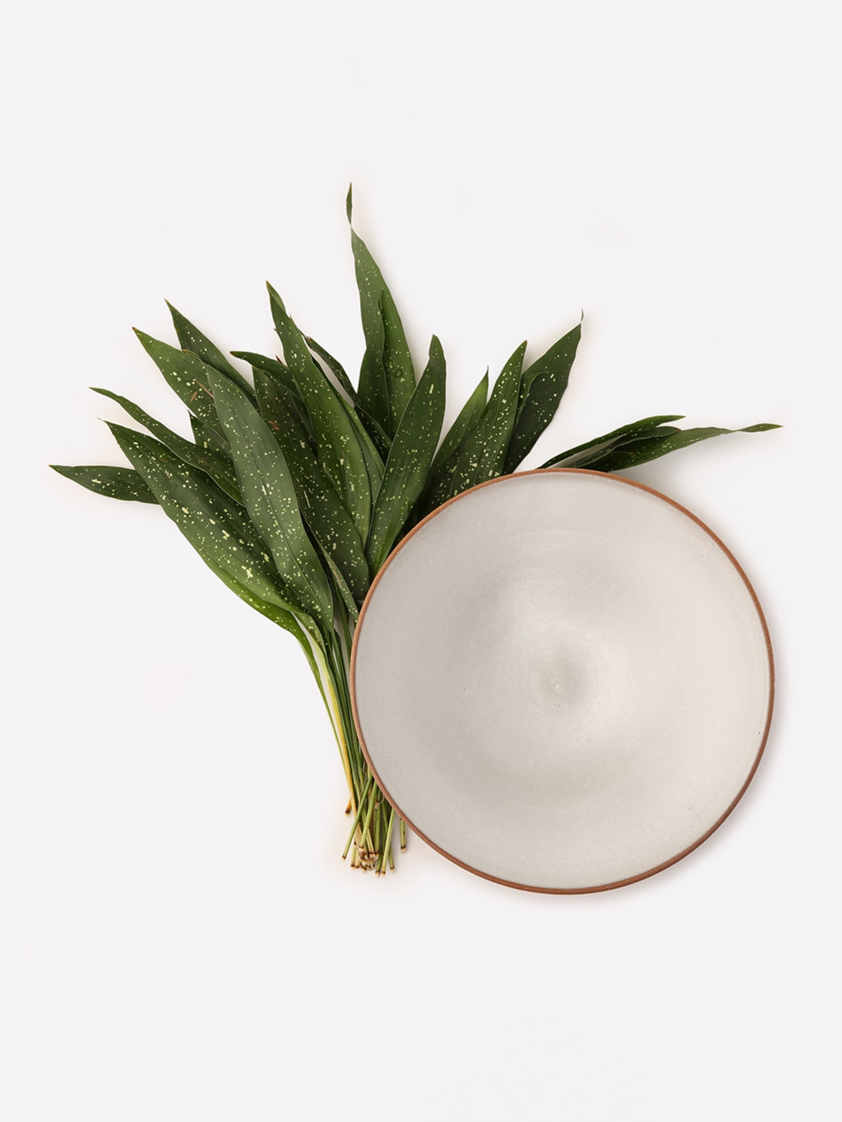 Prato Cone Branco Luli Ateliê