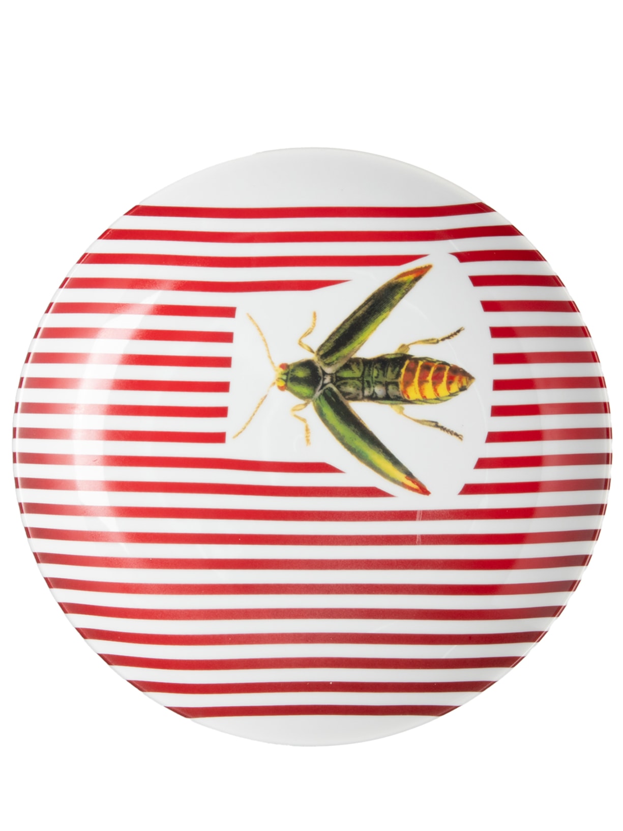 Prato Vagalume Listra - Branco