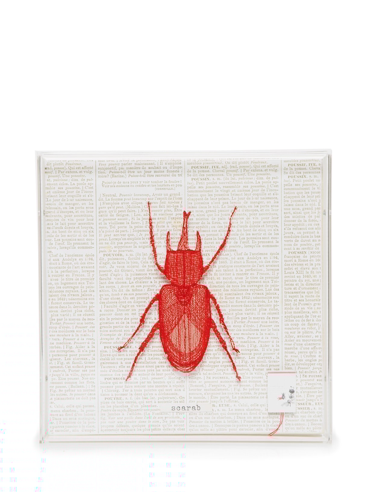 Quadro Galleria Botânica Escaravelho - Branco