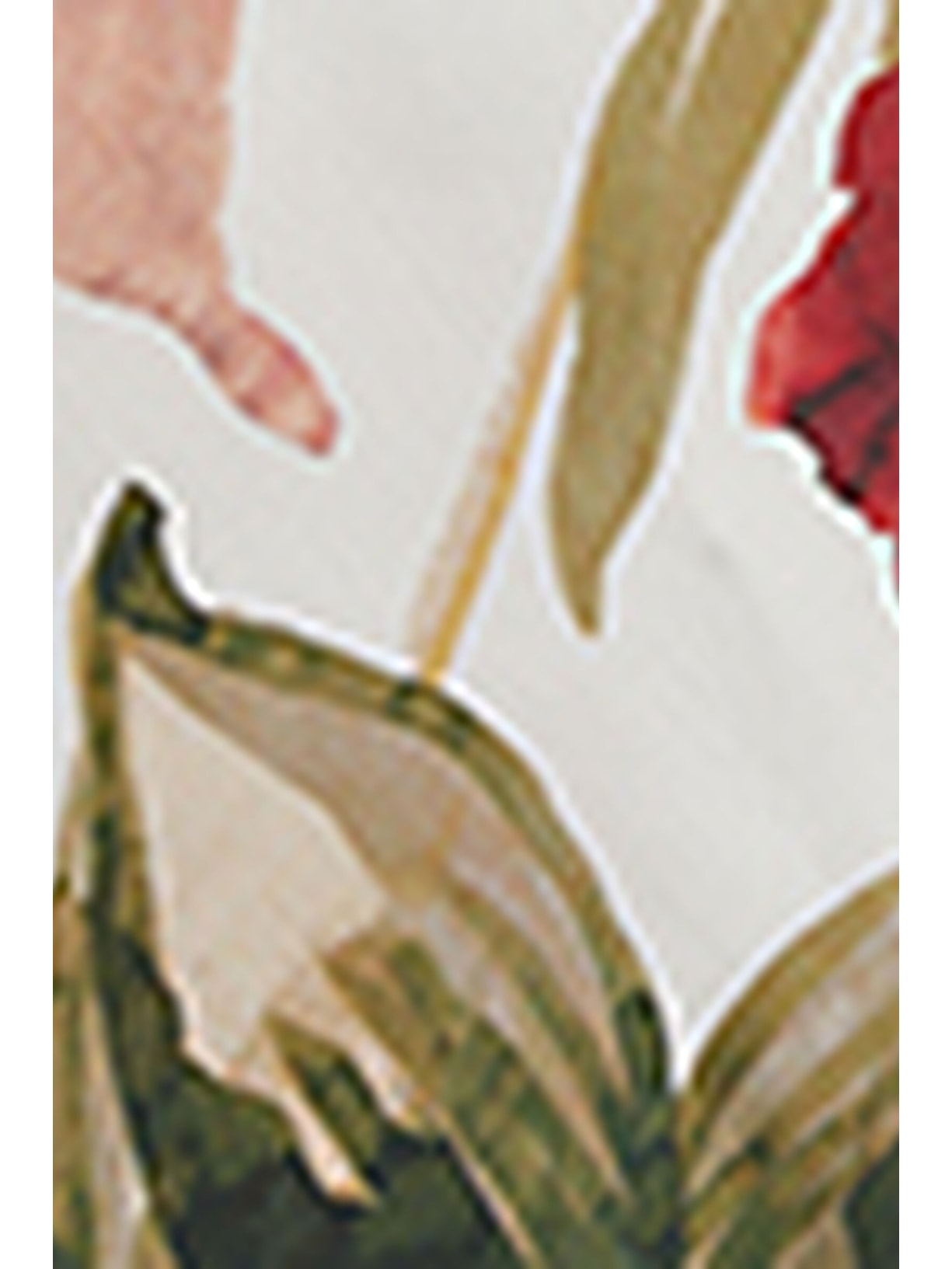 Regata Em Viscose Imaginary Journey Branco Intimissimi