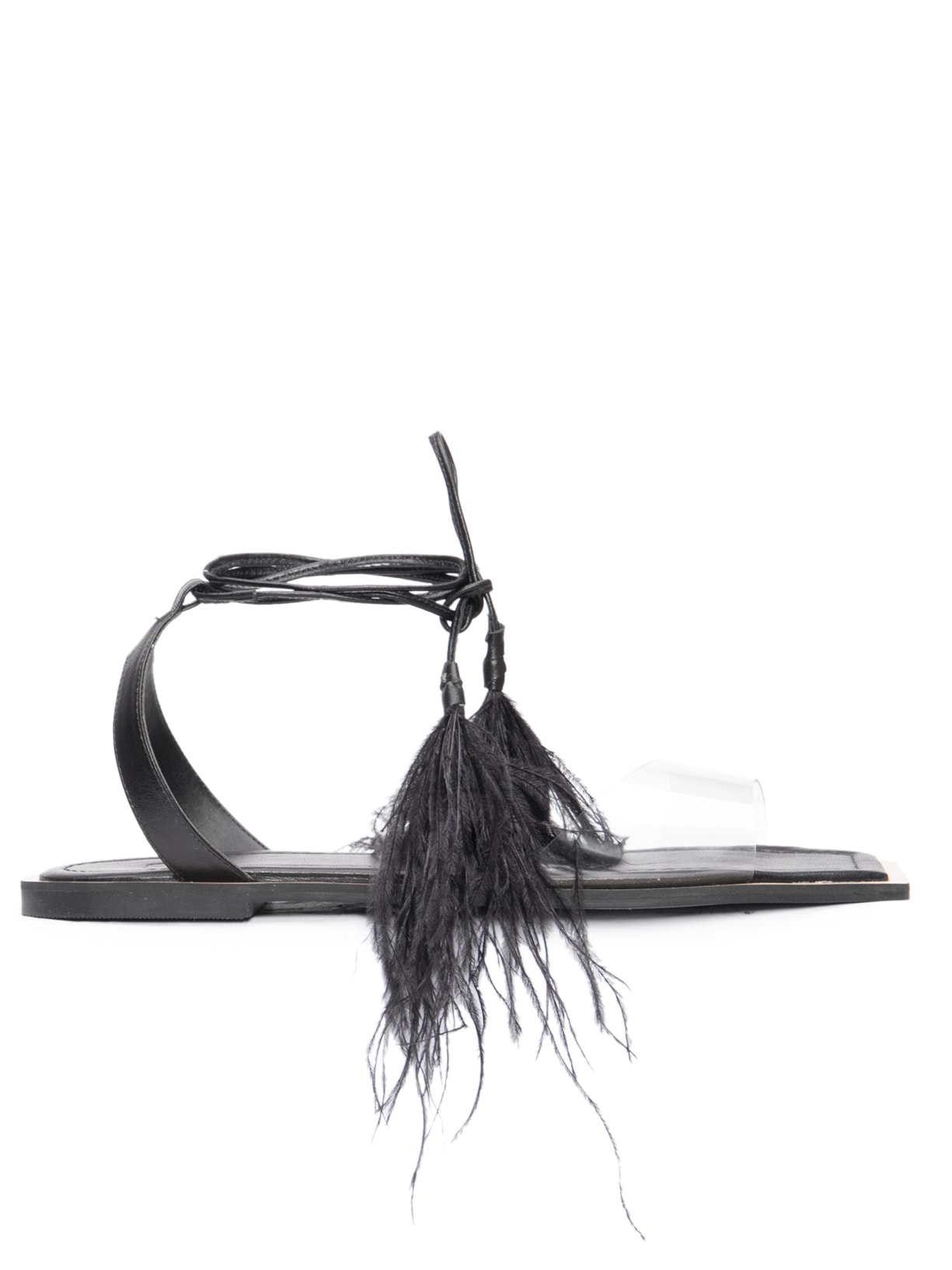 Sandália Feminina Rasteiras Plumas - Preto