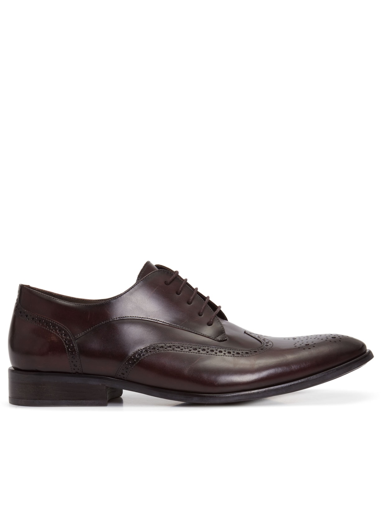 Sapato Masculino Brogue - Marrom