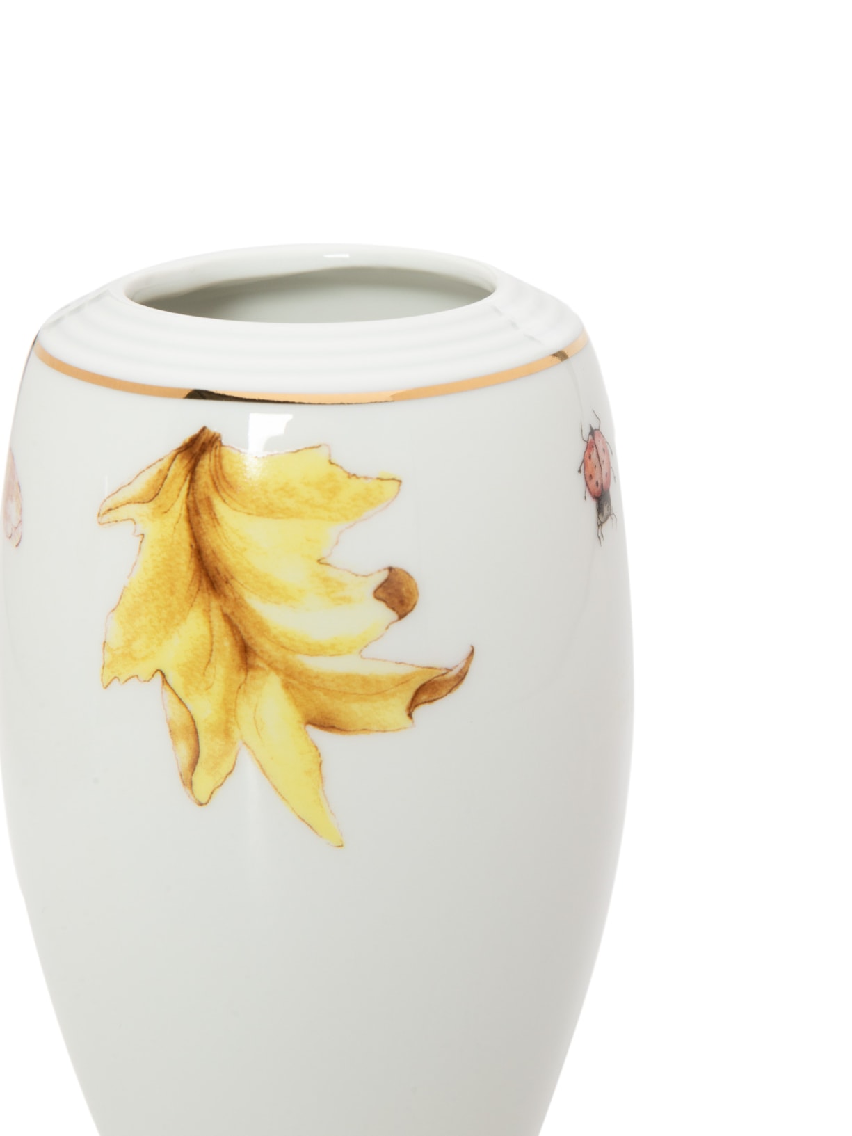Set Vaso Campo Amarelo 2 Unid Branco Tania Bulhões