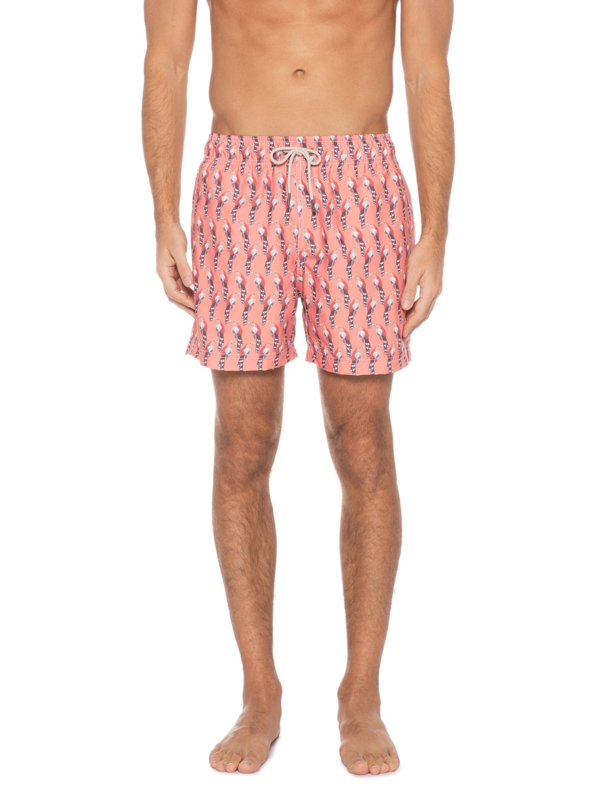 Shorts Squirrel Cuckoo Shortsco