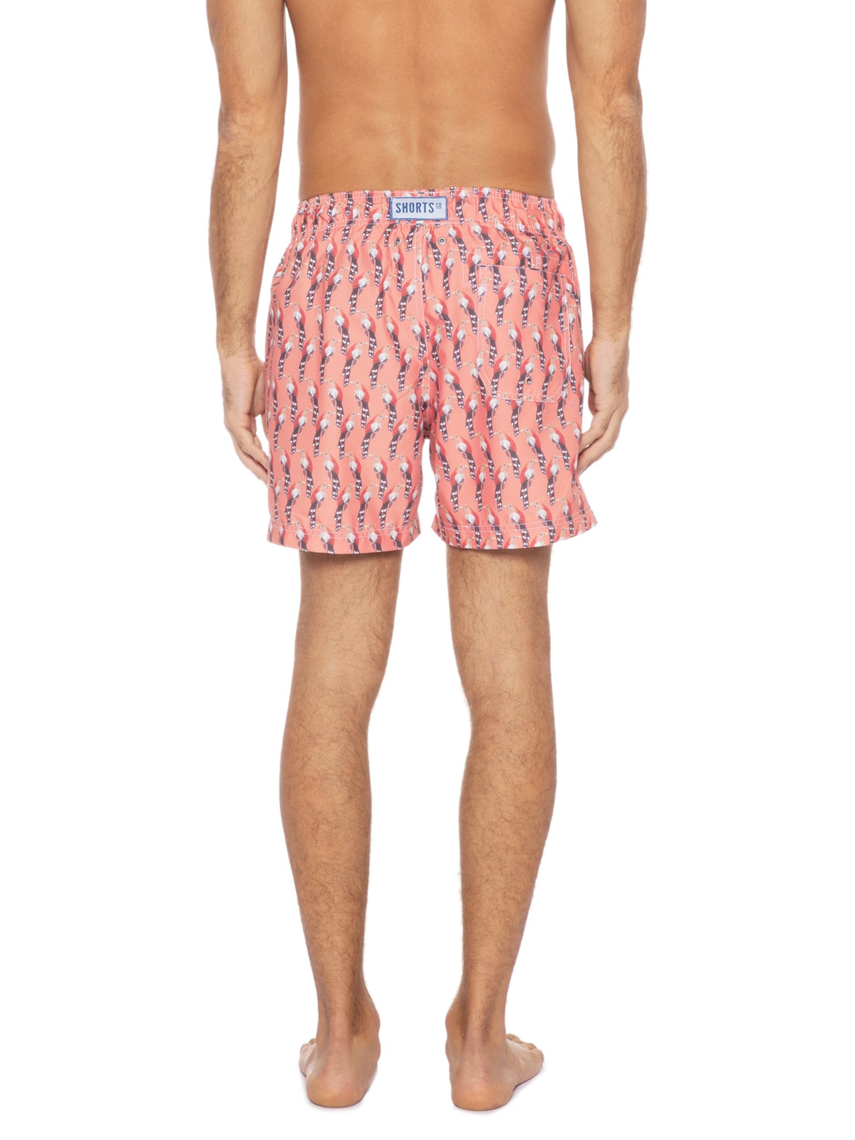 Shorts Squirrel Cuckoo Shortsco