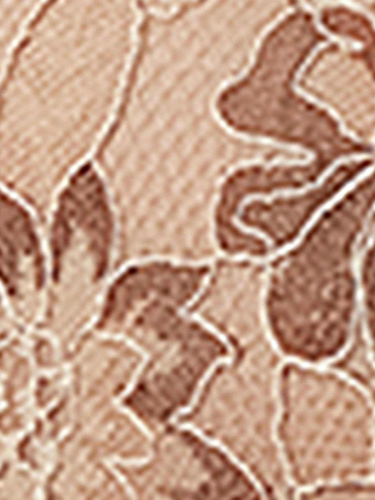 Sutiã Balconette Sofia Summer Glow Bege Intimissimi