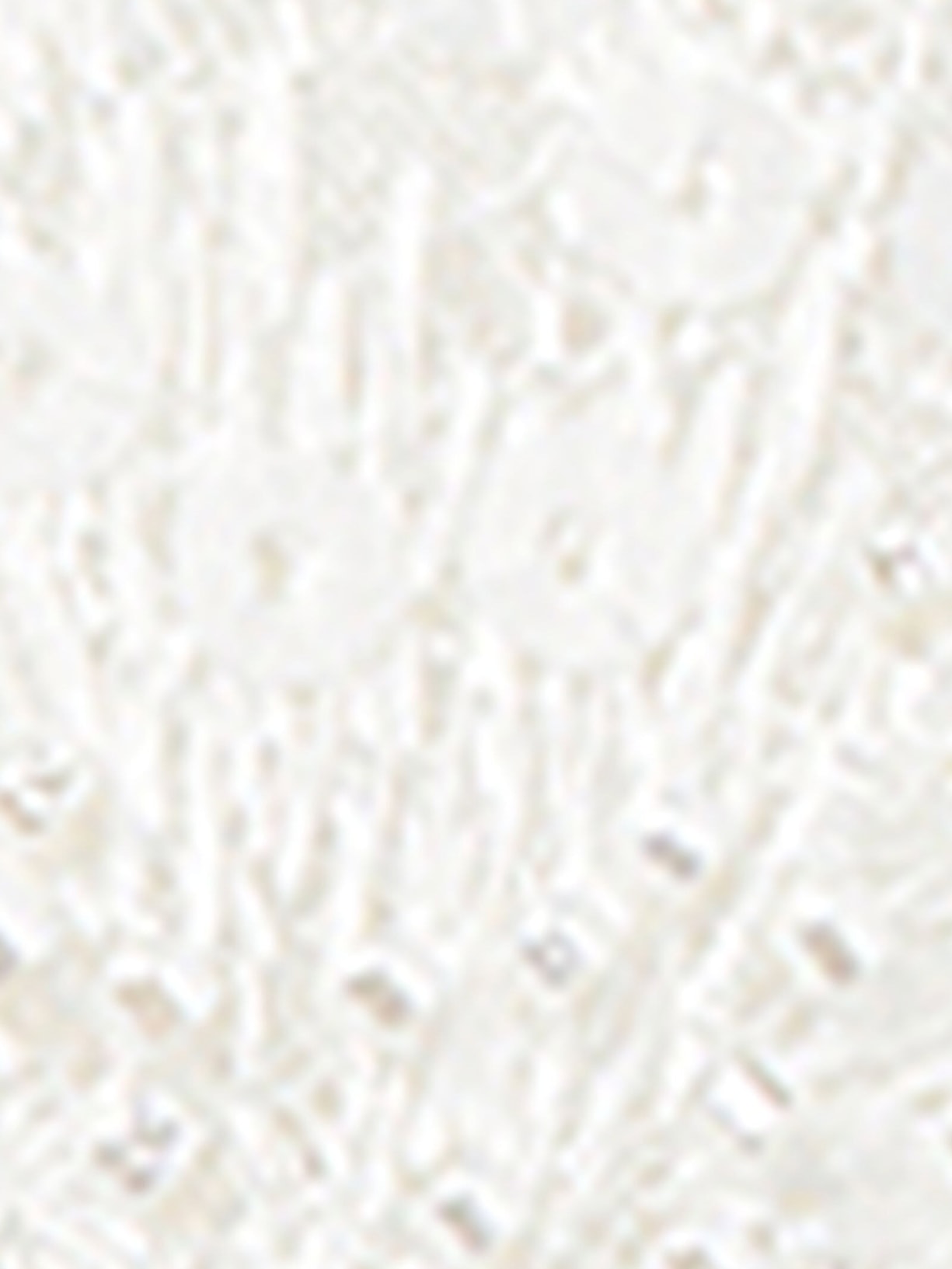 Sutiã Triângulo Glisten In The Light Marfim Intimissimi