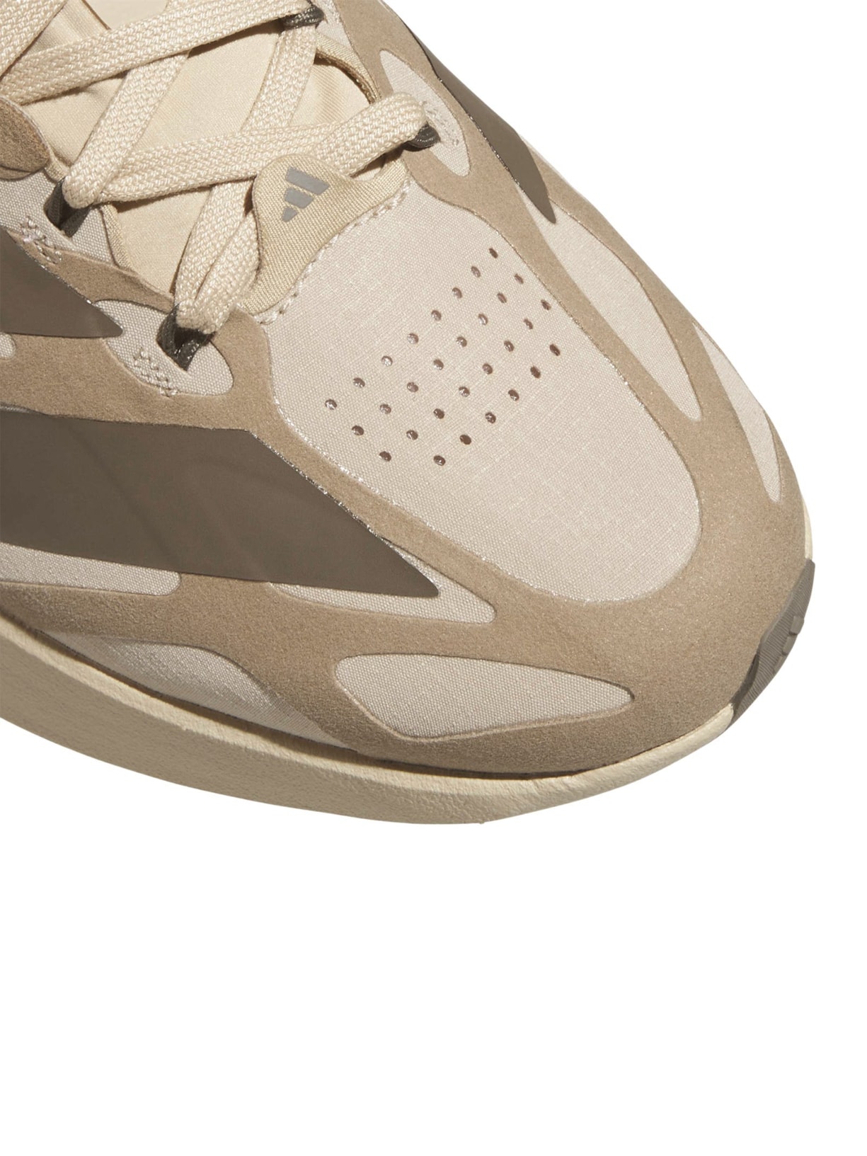 Tênis Masculino Adizero Evo SL EXO Marrom Adidas