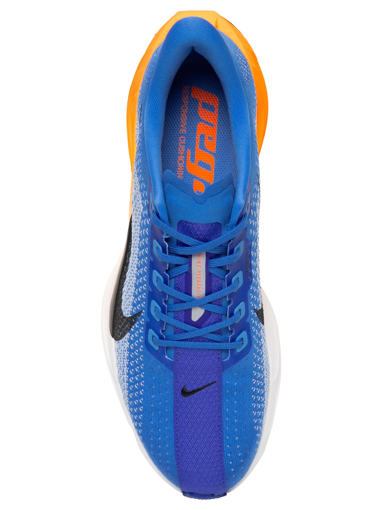 Tênis Masculino Pegasus Plus Azul Nike