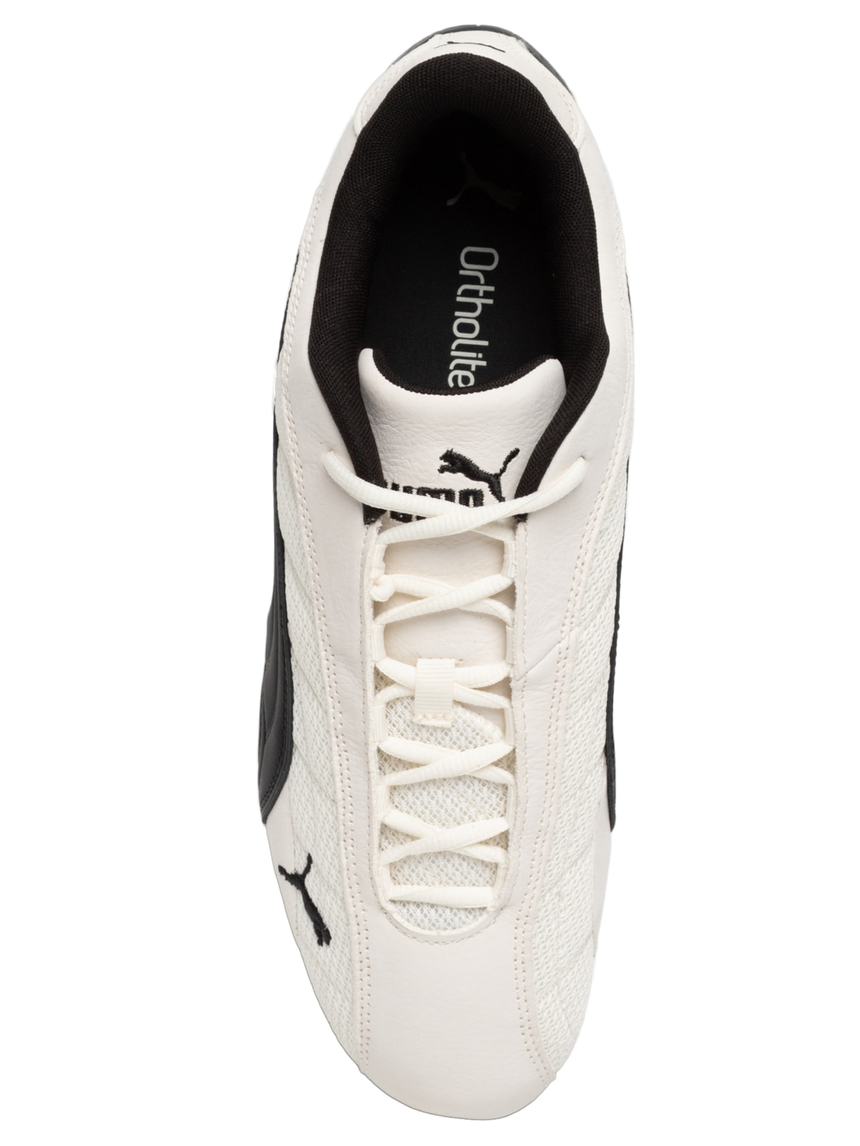 Tênis Speedcat Plus Masculino – Branco Puma