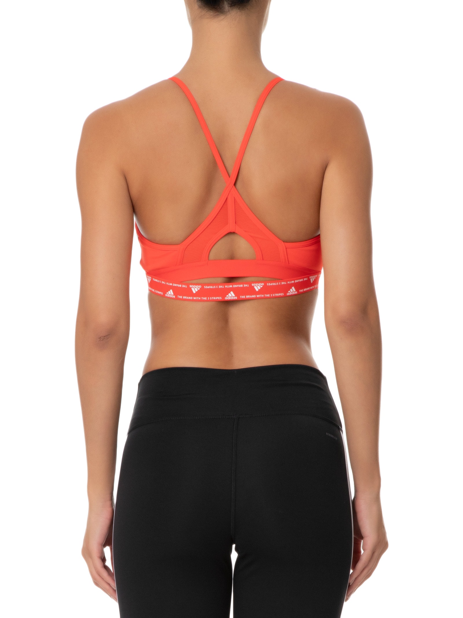 美品　ラップアップ　FR-D V6SP RED EDITION 0599-FD 美品 ラップアップ FR-D V6SP RED EDITION 0599-FD Yahoo!オークション