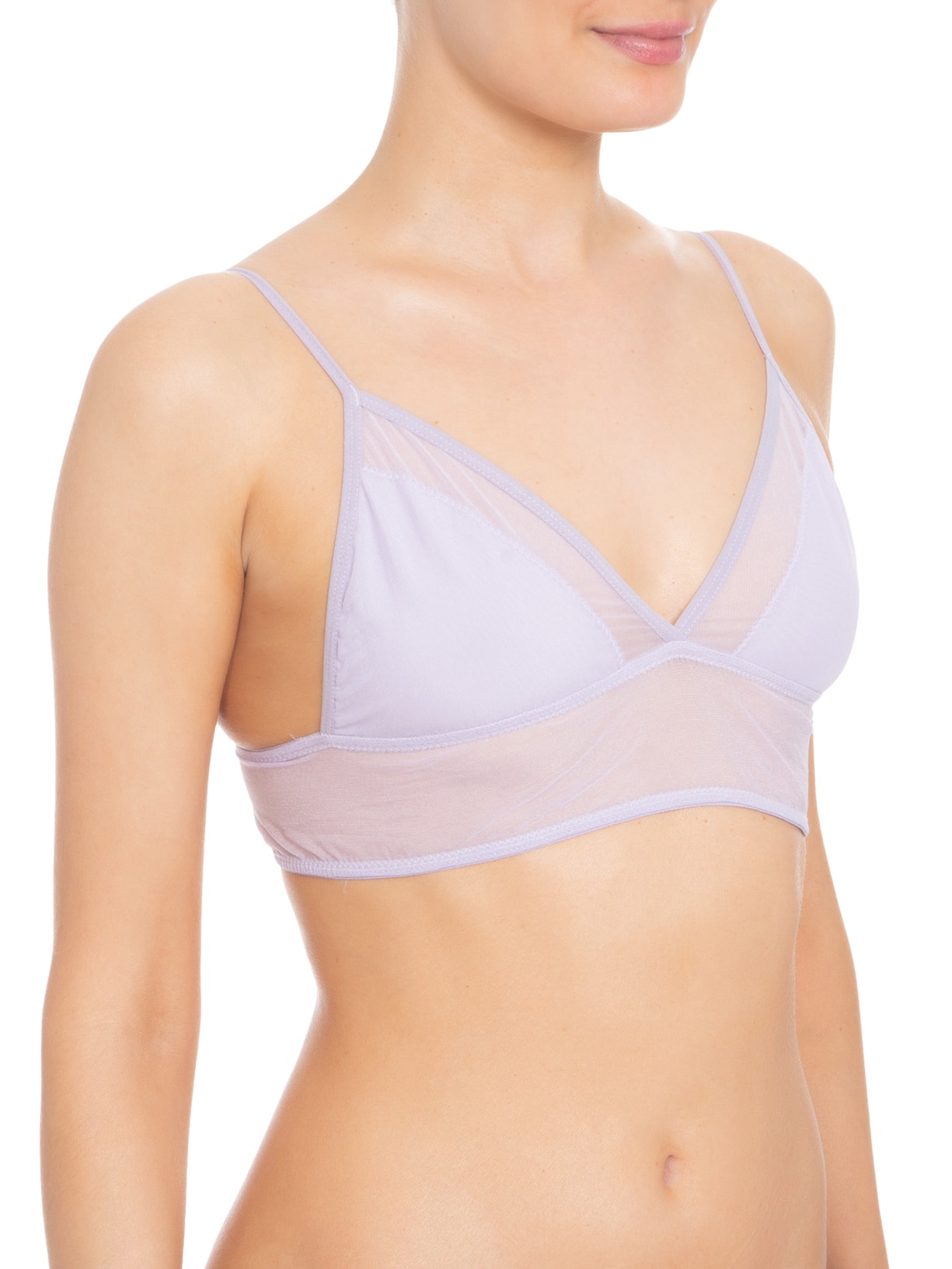 Top Gazania Lilás Carol Bassi