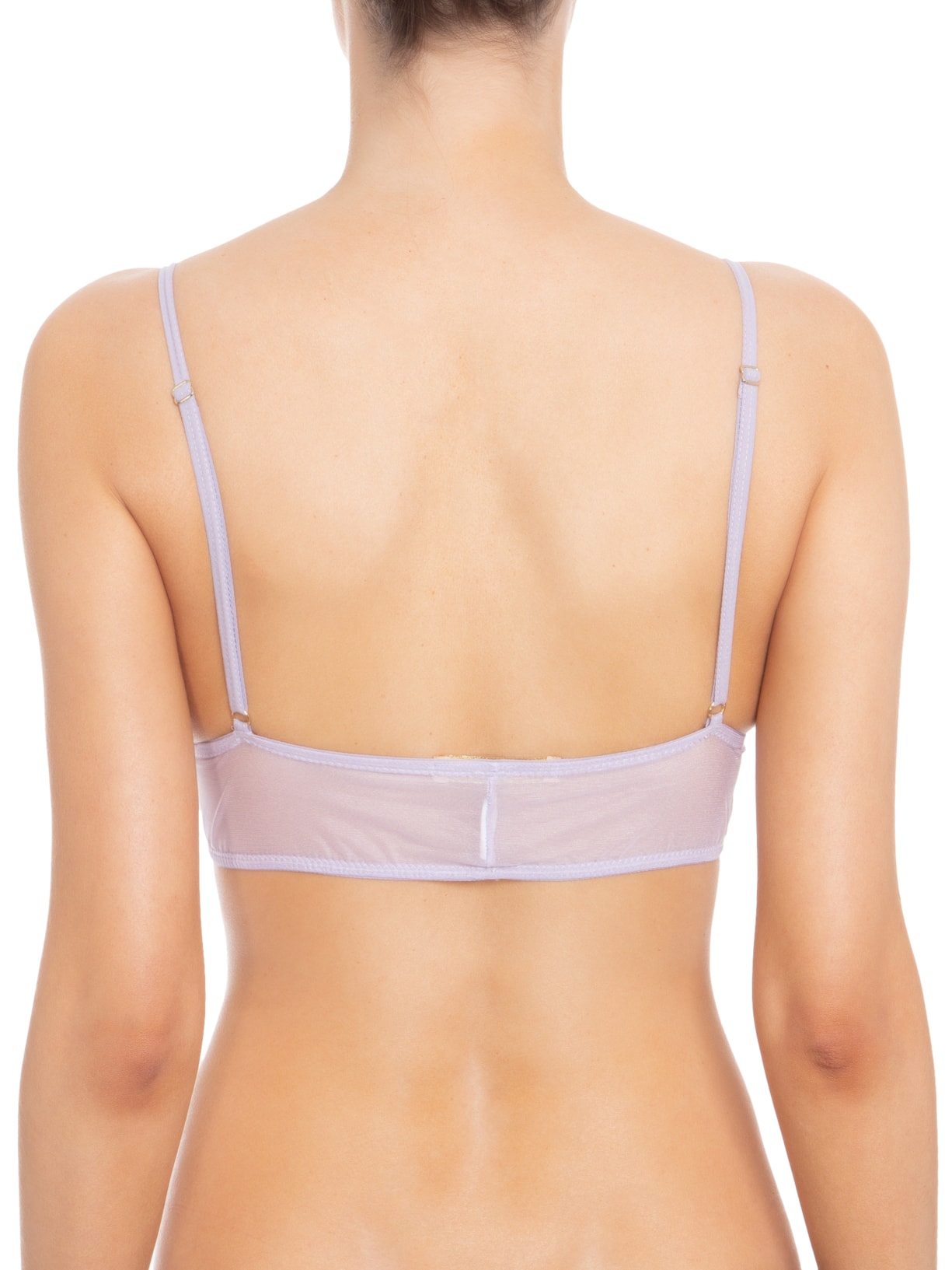 Top Gazania Lilás Carol Bassi