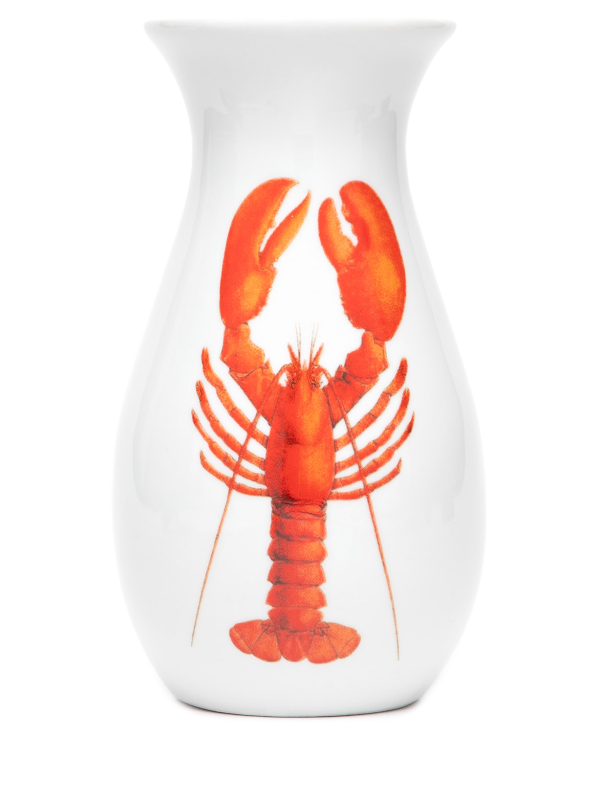 Vaso Ânfora M Lagosta - Branco