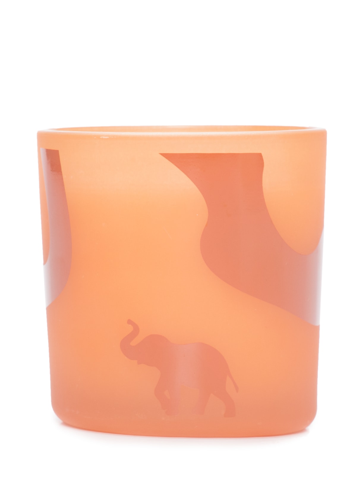 Vela Biodiversidade Elefante Alecrim 180g - Laranja