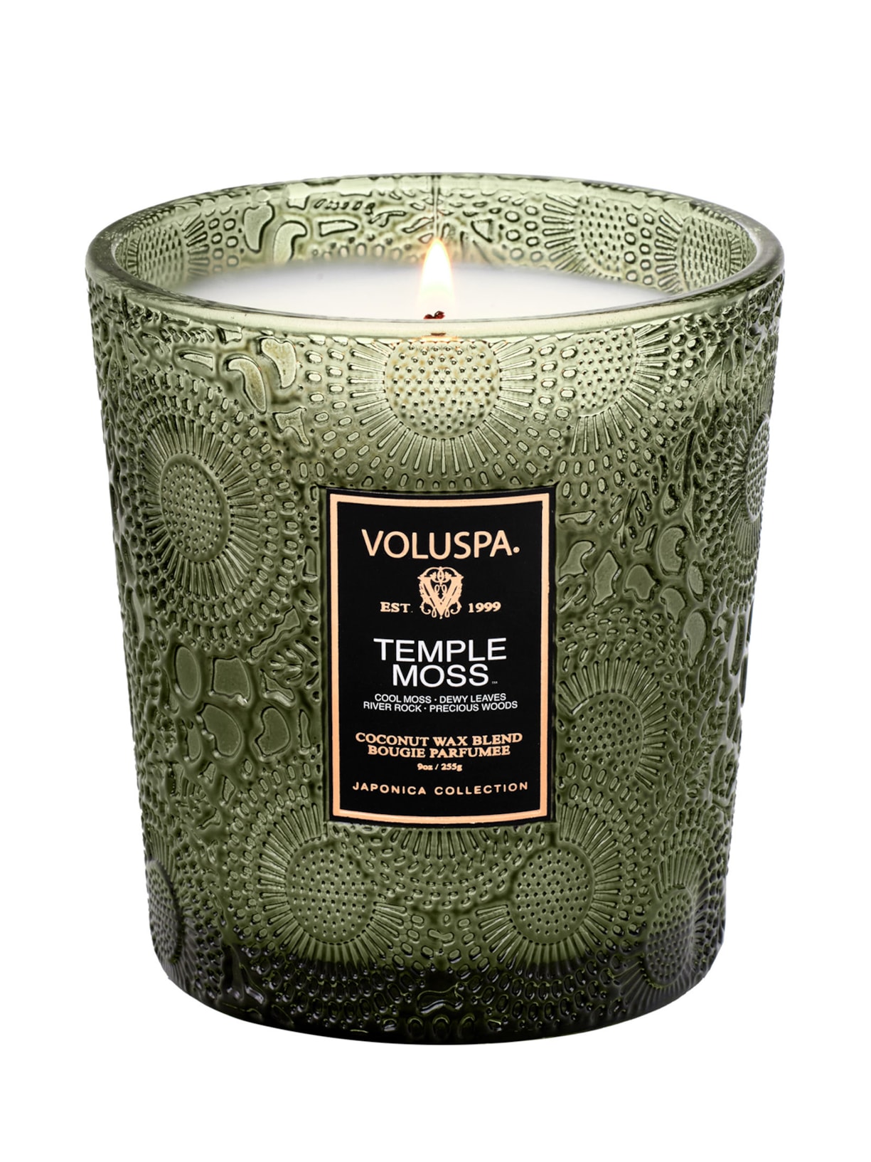 Vela Copo Vidro Clássico 60h Temple Moss - Verde