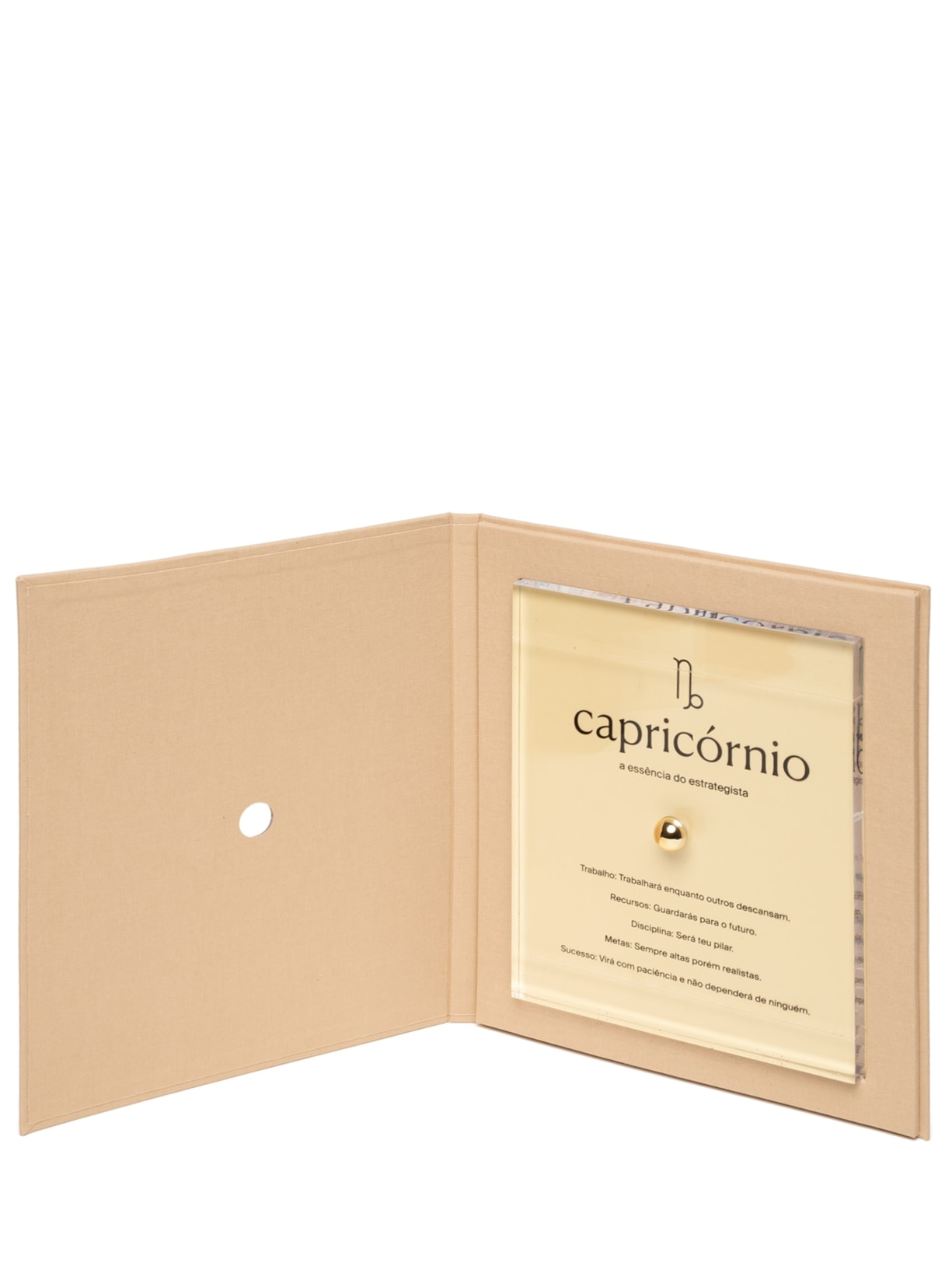 Zodiac Capricornio Dourado By Gabs