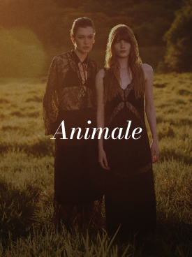 Marca Animale